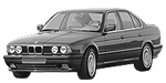 BMW E34 C20A2 Fault Code